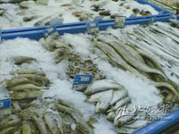 渔业生产保鲜冰块、降温冰块